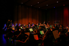 An orchestra performing in a dimly lit auditorium.