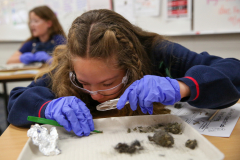 Girl in a lab working on a science project. She is wearing gloves and goggles while examining a tray of soil samples.
