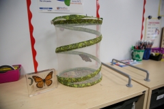 A colorful snake in a clear container on a table.