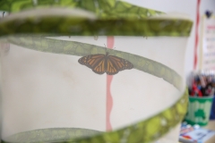 Butterfly in a greenhouse.