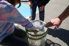 Two children feeding fish at a park.