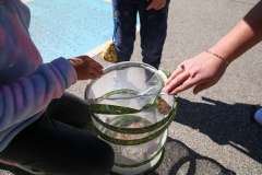 Two people interacting with a colorful fish tank, one pouring water into it while another reaches in to touch a fish.