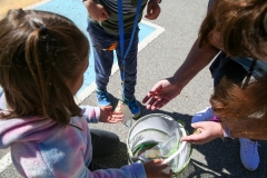 Two children reaching into a bucket of water to catch butterflies in a park.