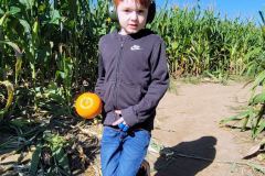 Young boy in a field of corn.