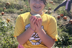 Little girl holding a pumpkin in an apple orchard.