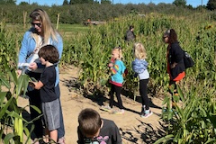 People walking through a cornfield.