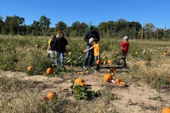 People in a field surrounded by pumpkins, standing near each other, on a sunny day.