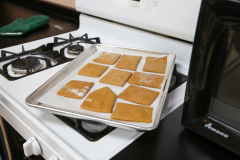 Gingerbread cookies on a tray on an oven door.