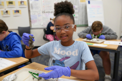Girl in blue shirt holding owl pellet.