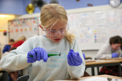 Girl in blue shirt holding a green test tube.