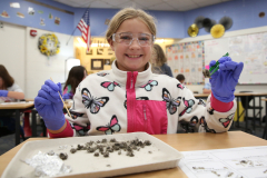 Girl in blue gloves holding a tray of owl pellets.