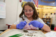 Girl in blue gloves holding a small animal skull, sitting at a table with dissection tools and materials.