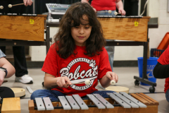 Girl playing a keyboard in school band.